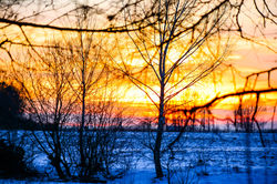 DSC_0042