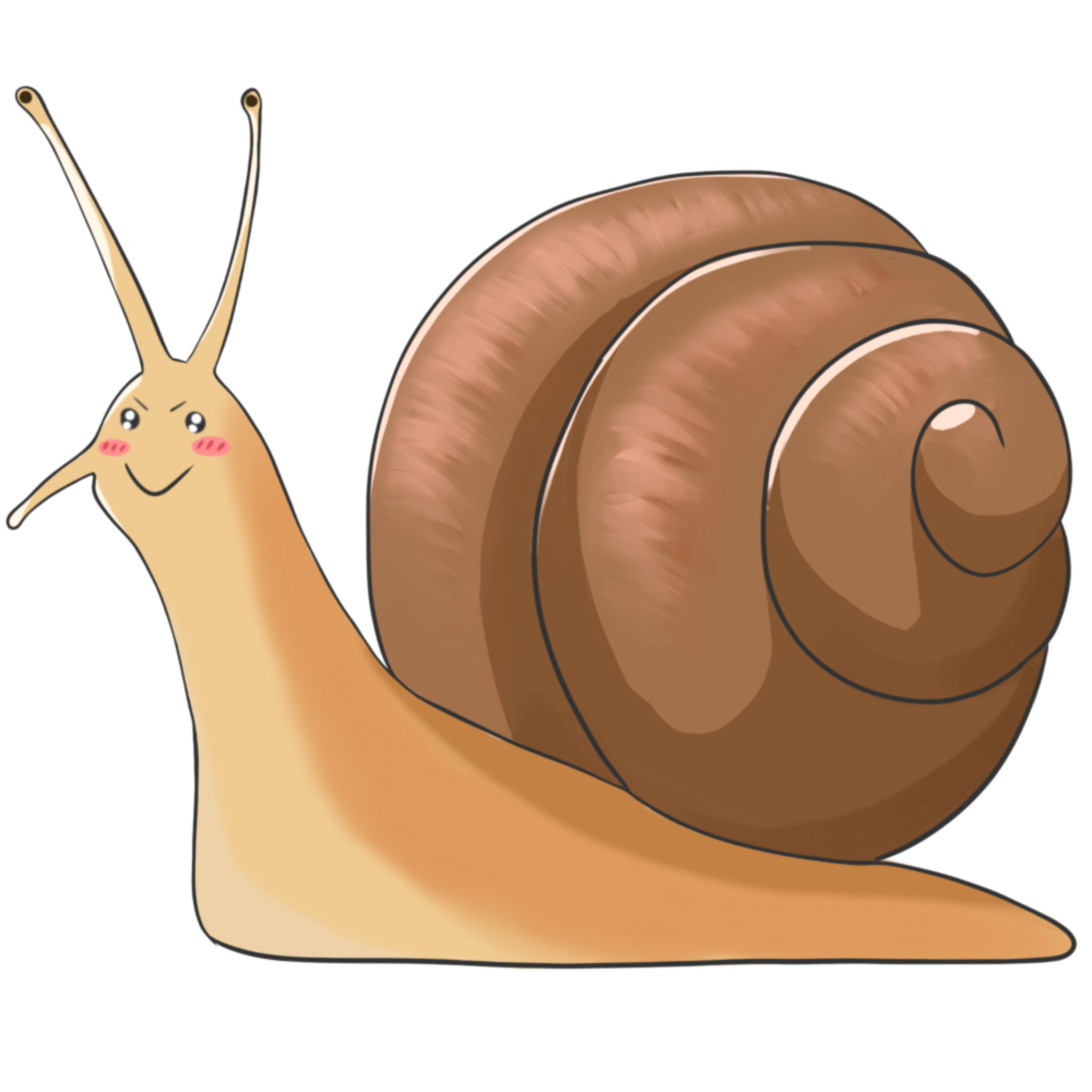 Snail1.PNG