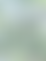 Cottages are on in the "in" list in 2023