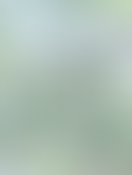 Cottages are on in the "in" list in 2023