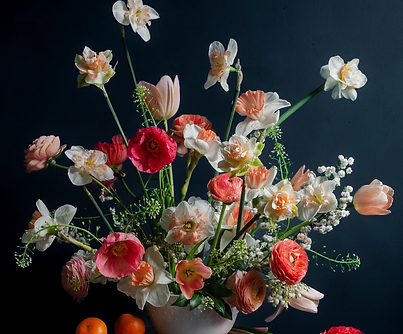 Screen Shot 2023-04-05 at 10.45.33 AM.png