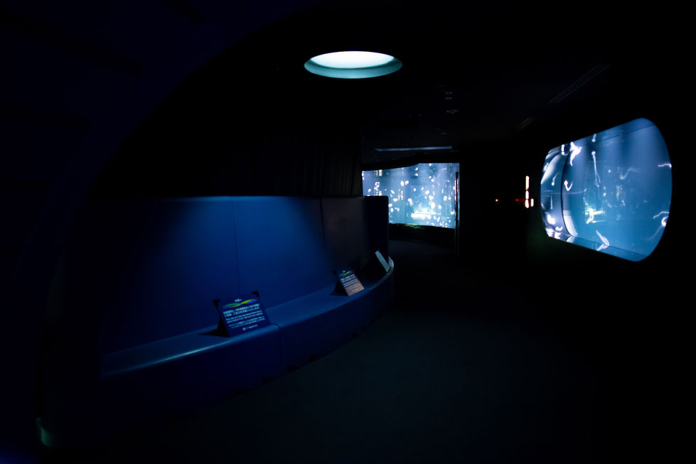 Hamon - Entertainment & Stores