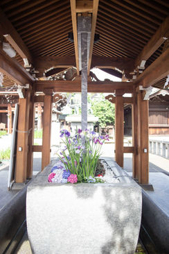Aqpane (Aqua Wall Panel) in a Sacred Space, Shrine in Japan