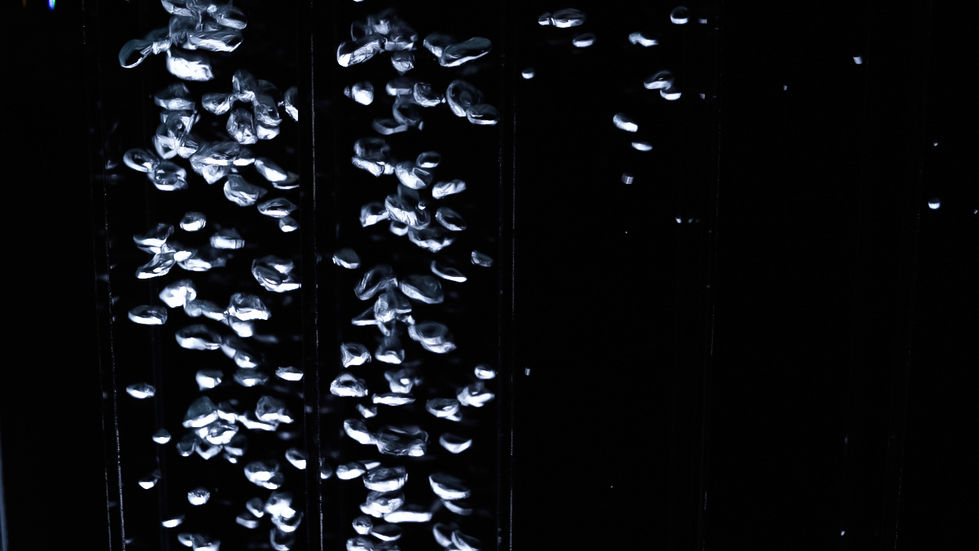 Pearl Airation - Events