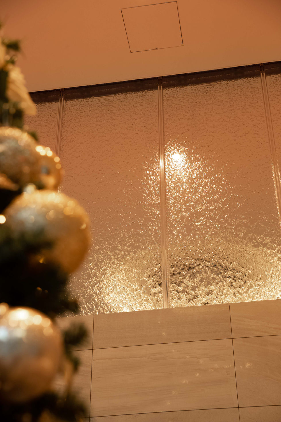 Aqpane (Aqua Wall Panel) in a School