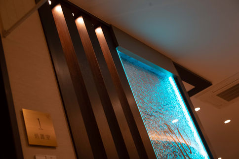 Aqpane (Aqua Wall Panel)