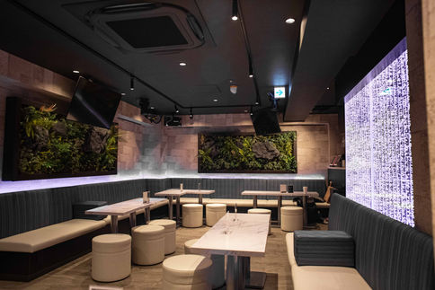 Pearl Airation - Night Clubs and Bars