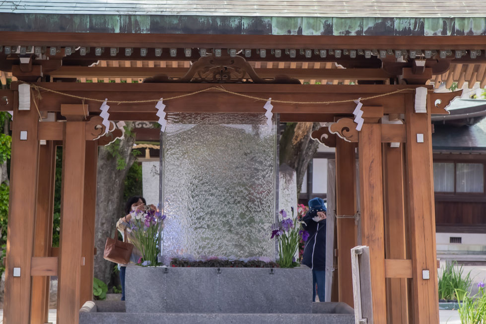 Aqpane (Aqua Wall Panel)