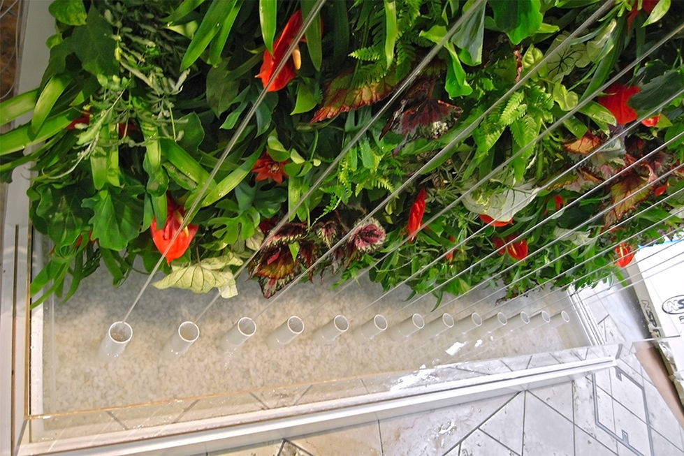 Film Fall - Entertainment & Stores