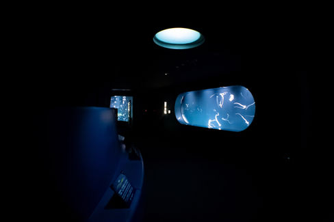 Hamon - Entertainment & Stores