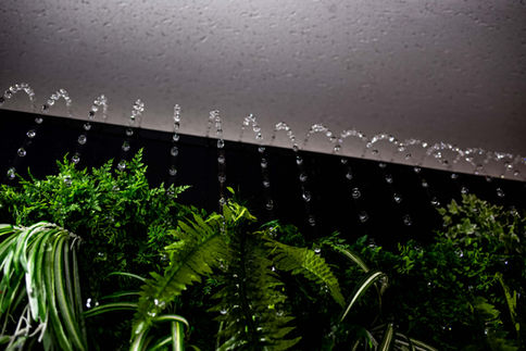 Water Pearl Showroom