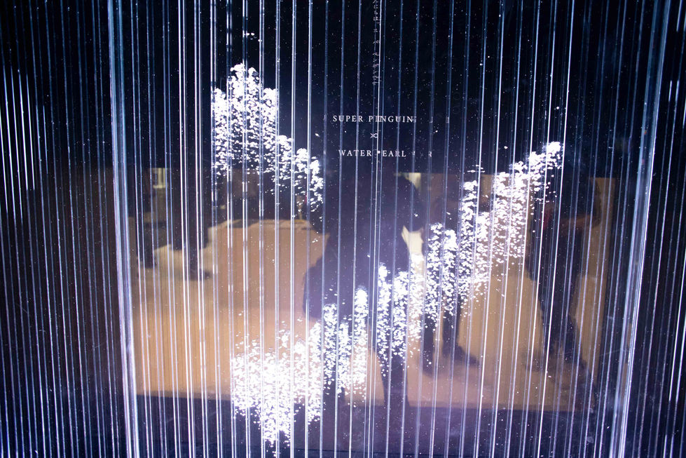 Pearl Airation - Events