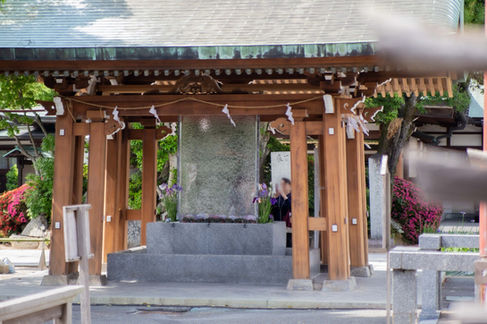 Aqpane (Aqua Wall Panel)