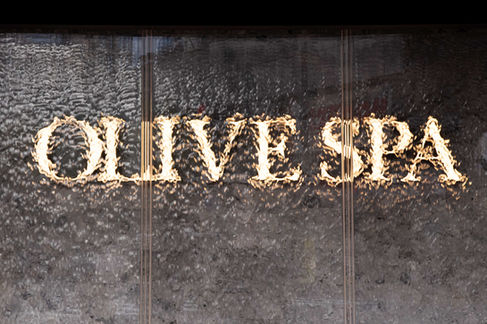 Aqpane (Aqua Wall Panel) in Spa