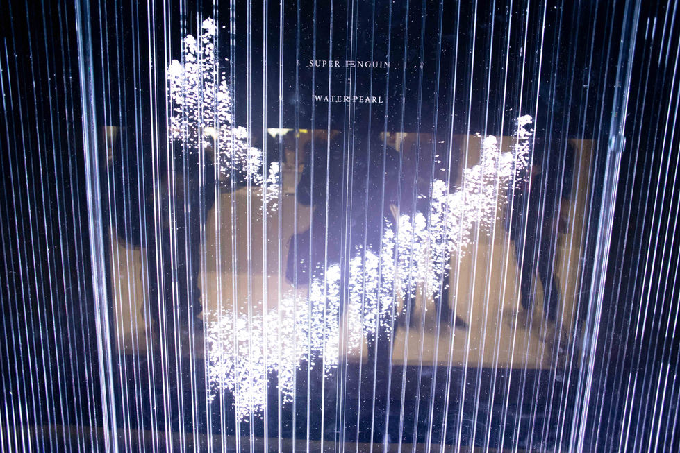 Pearl Airation - Events