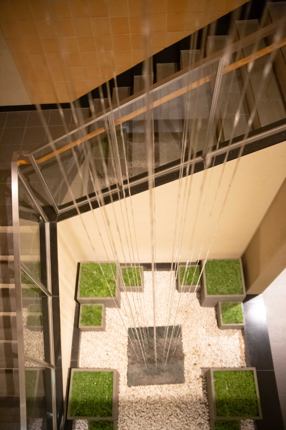 Film Fall - Health & Wellness