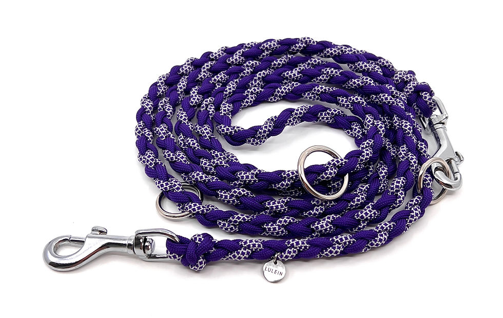 Miniaturbild: Braid Mini Purple Polka