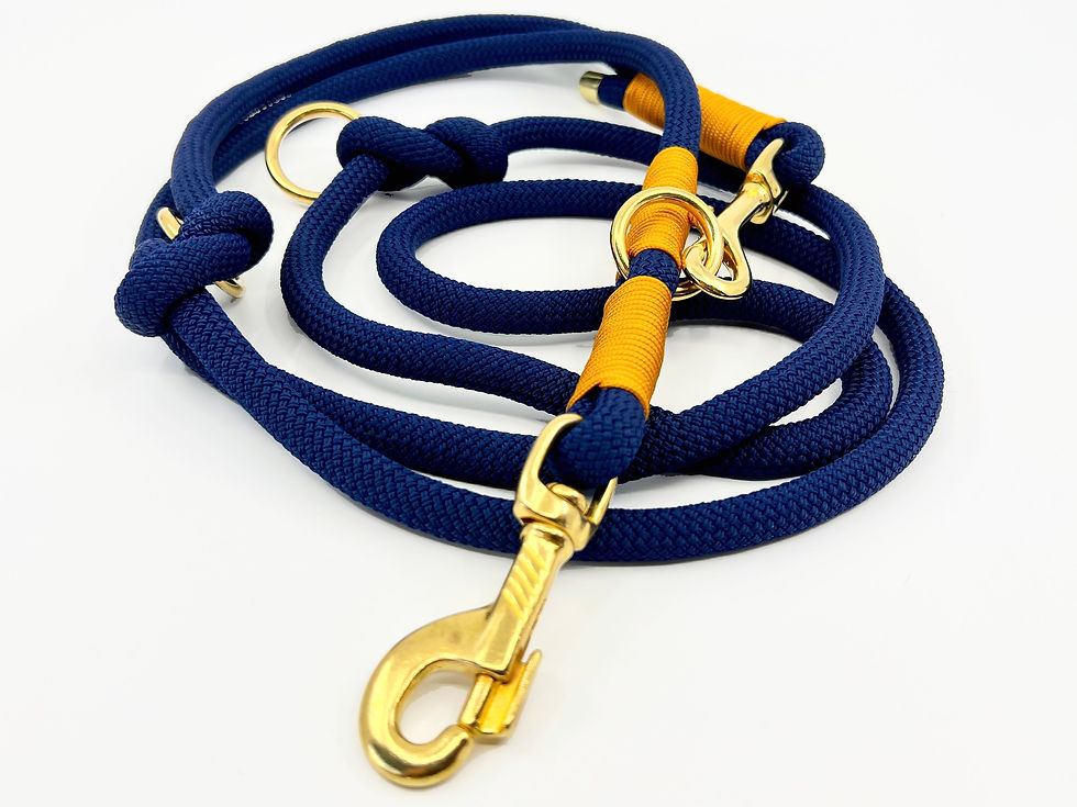 Miniaturbild: Golden Marine