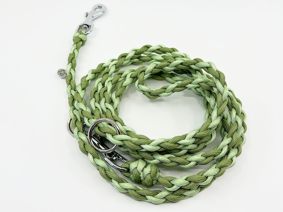 Miniaturbild: Braid Mini Light Guacamole