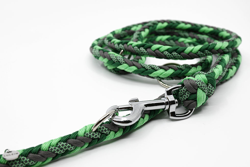 Miniaturbild: Fishbone Moroccan Mint