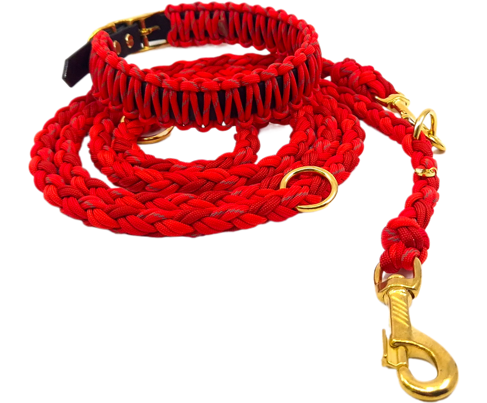 Miniaturbild: Braid Reflective Fire