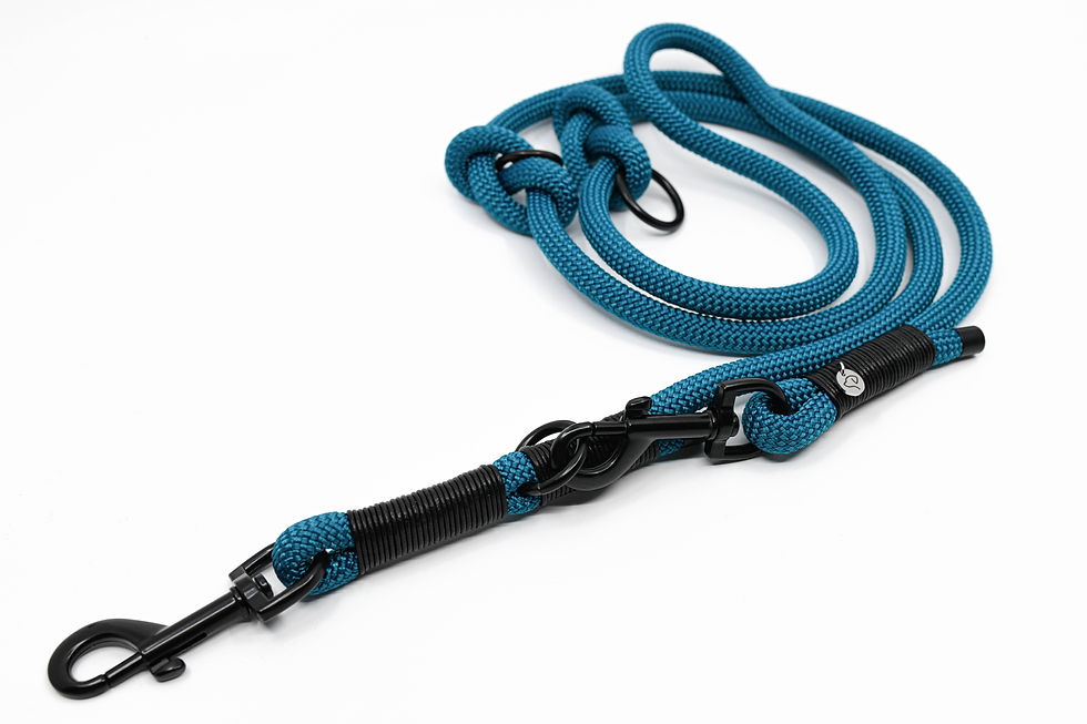 Miniaturbild: Black Aqua