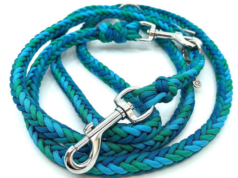 Fishbone Ocean