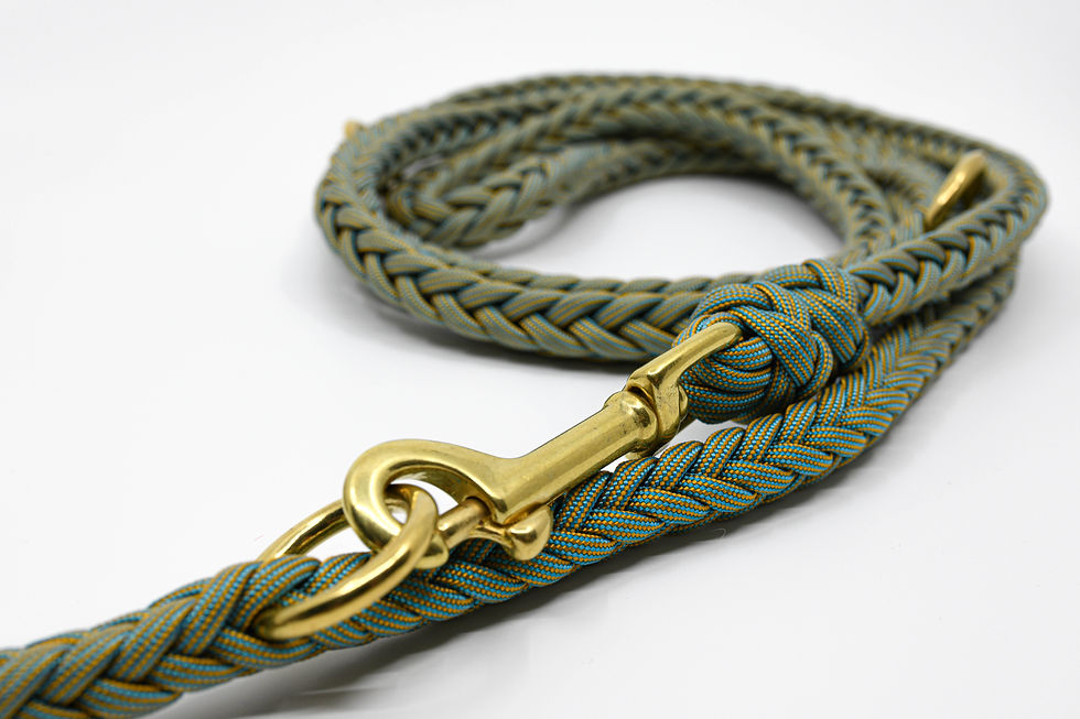 Miniaturbild: Fishbone Salamander