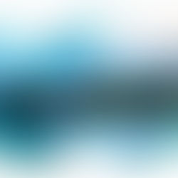 Ideating Christmas Delight