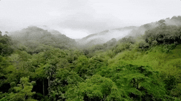 200(5).gif