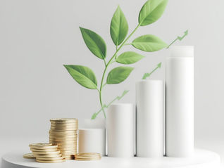 Exciting News for Homeowners: Solar Grants to Stay at €1,800 in 2026