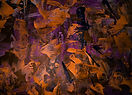 DSC09842-2.jpg