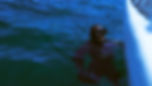 DSC00605-2.jpg