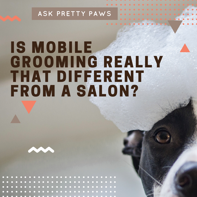 pretty paws mobile dog grooming