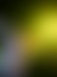 Hot House Flowers and Paul Jackson live at Freo.Social