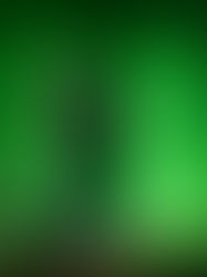 Thornhill, Ocean Grove, Paledusk and Heavensgate live at Ator Theatre