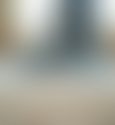 Expert Carpet Cleaning Los Angeles: Your Guide to Spotless Floors