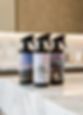 Do It Rite Essentials Cleaning Kit with EverClean, Picture Perfect Glass Cleaner, and Dr. Leal's Hospital Grade Cleaner