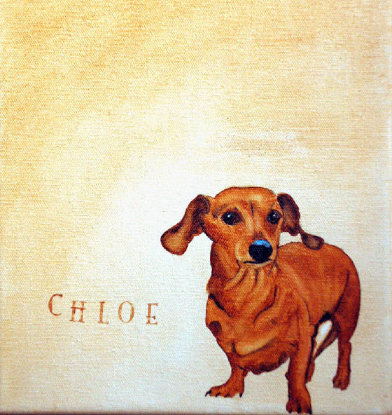 one pet on 10x10
