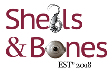 S&B logo image 2.png