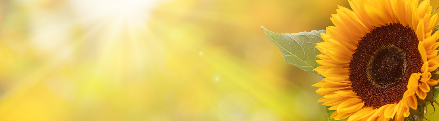 iStock-1253210043.jpg