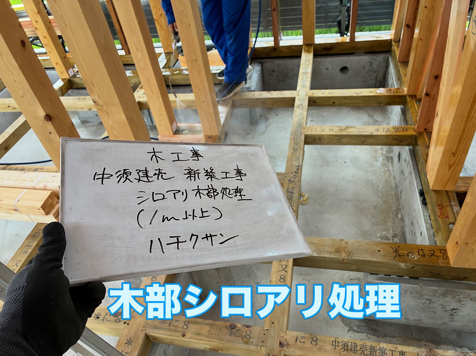 木部のシロアリ処理