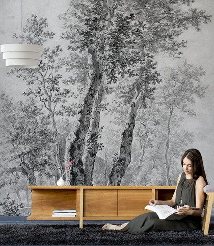 Durolenz Wallart for Home
