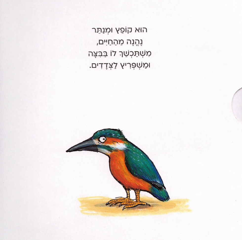 תמונה ממוזערת: פרדי הצפרדע / אקסל שפלר
