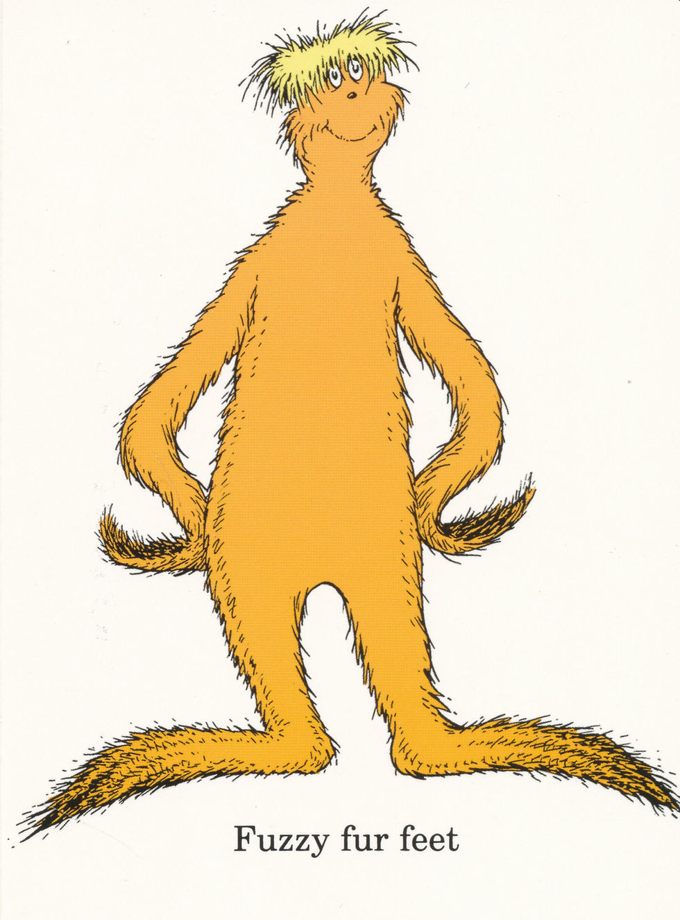 תמונה ממוזערת: The Foot Book / Dr. Suess - Board Book