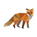 Geometric Fox