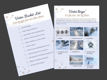 Vinter "Bucket List" og bingo!