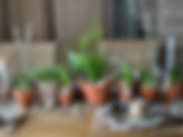 Påskebord i natur og terracotta!