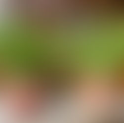 Urtepotter av gjenbruks-hermetikk!