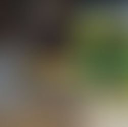 Påskebordet på hytta!